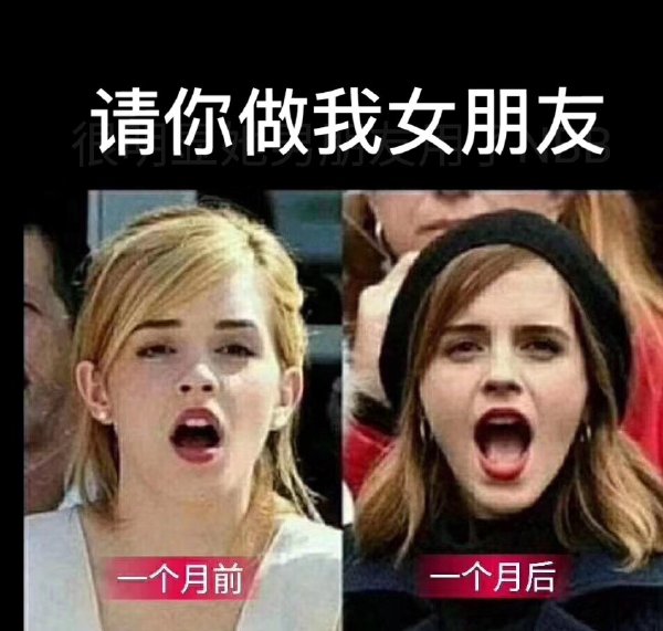 请你做我女朋友