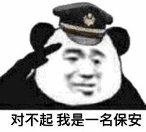 保安日记表情包