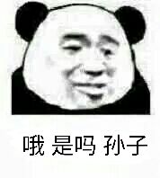 哦是吗孙子