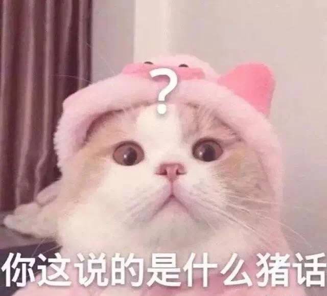 撒娇专用的猫咪表情包