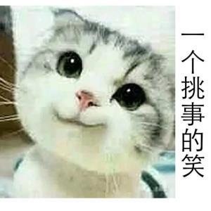 小猫一个挑事的笑