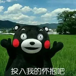 投入我的怀抱吧