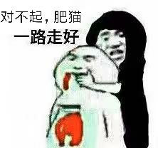 对不起 肥猫一路走好