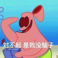 对不起是我没脑子