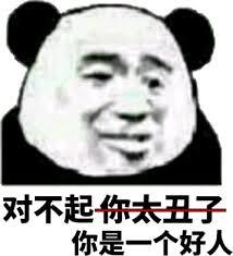 对不起 你太丑了 你是一个好人