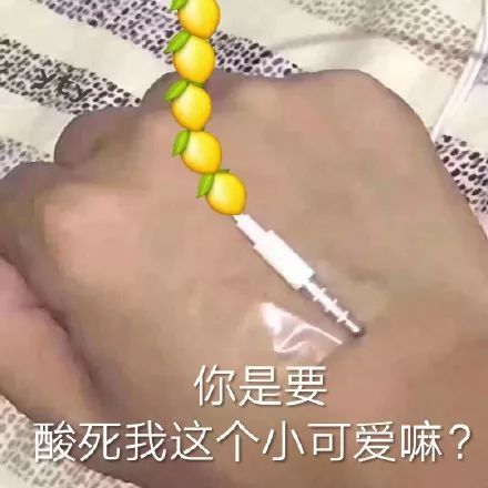 你是要酸死我这个小可爱嘛