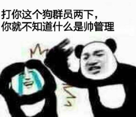 打你这个狗群员两下你就不知道什么是帅管理