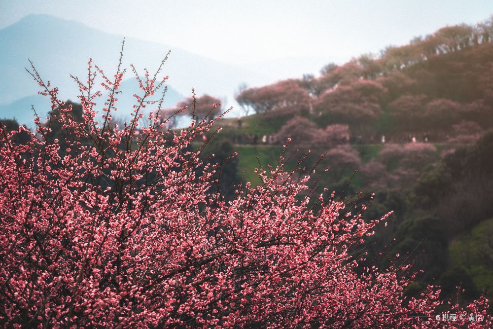 宁波溪口风景区旅游景点高清图片