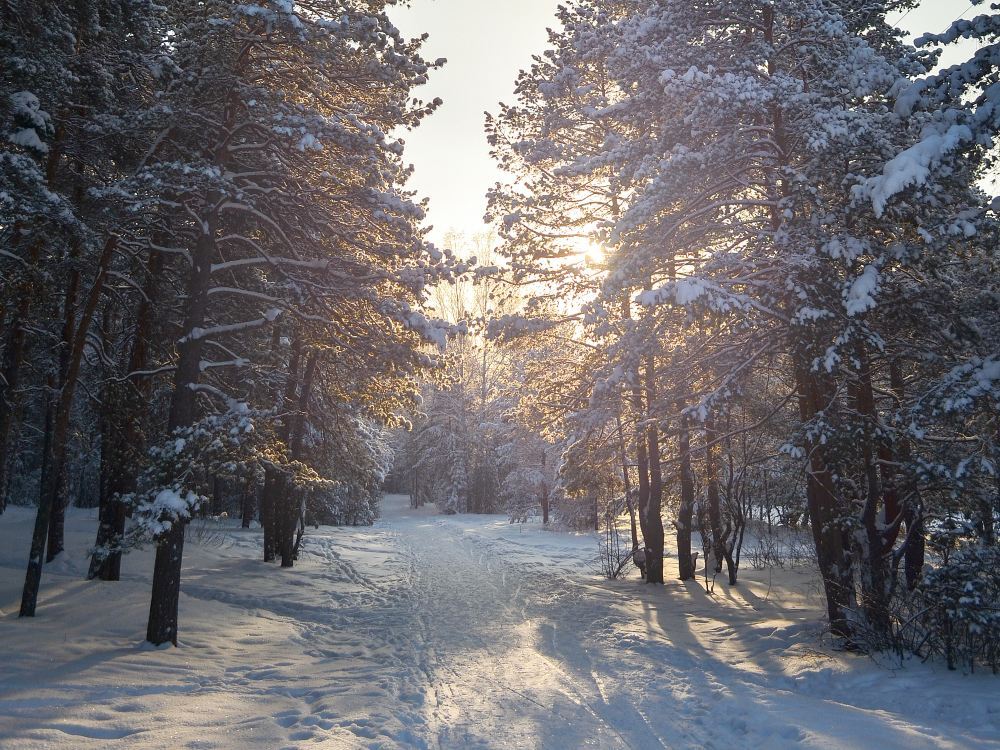 哈尔滨雪谷旅游景点风景美图