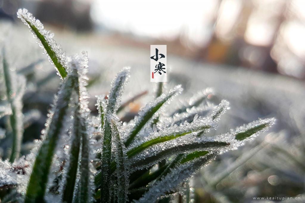 精选2024邂逅节气冰雪小寒高清壁纸图片