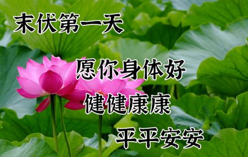 末伏早安祝福带字图片 末伏早上好带字图片