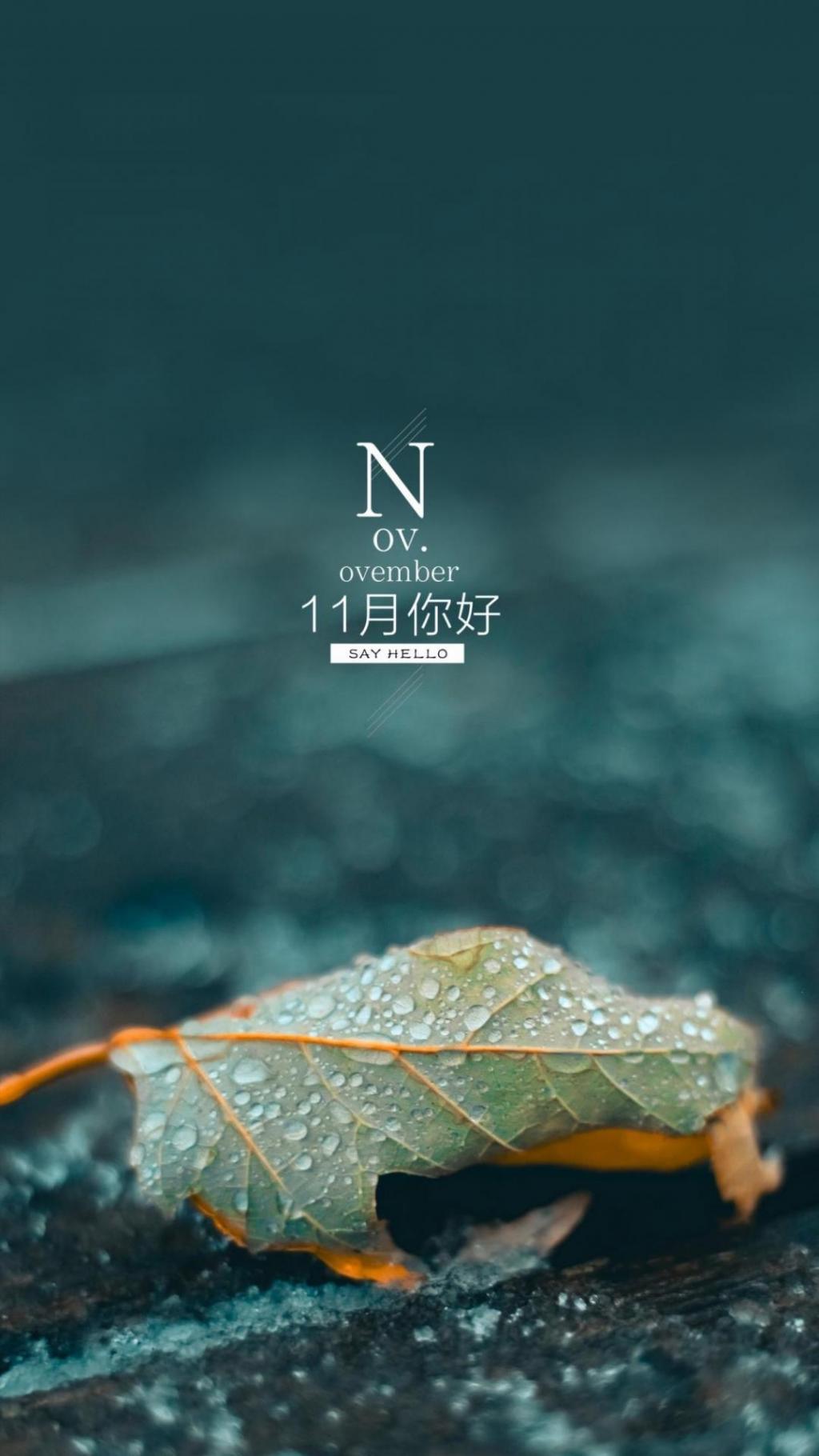 雨滴在落叶上唯美伤感11月你好文字图片