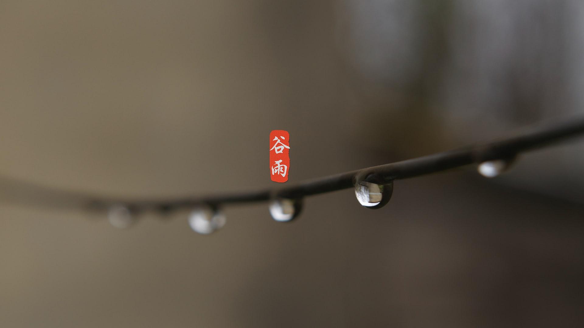 谷雨节气清新高清桌面壁纸图片