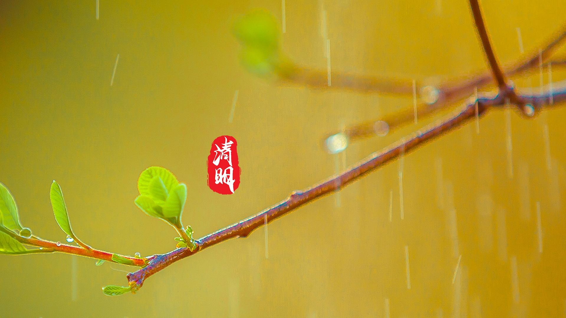 清明节唯美图文高清桌面壁纸图片