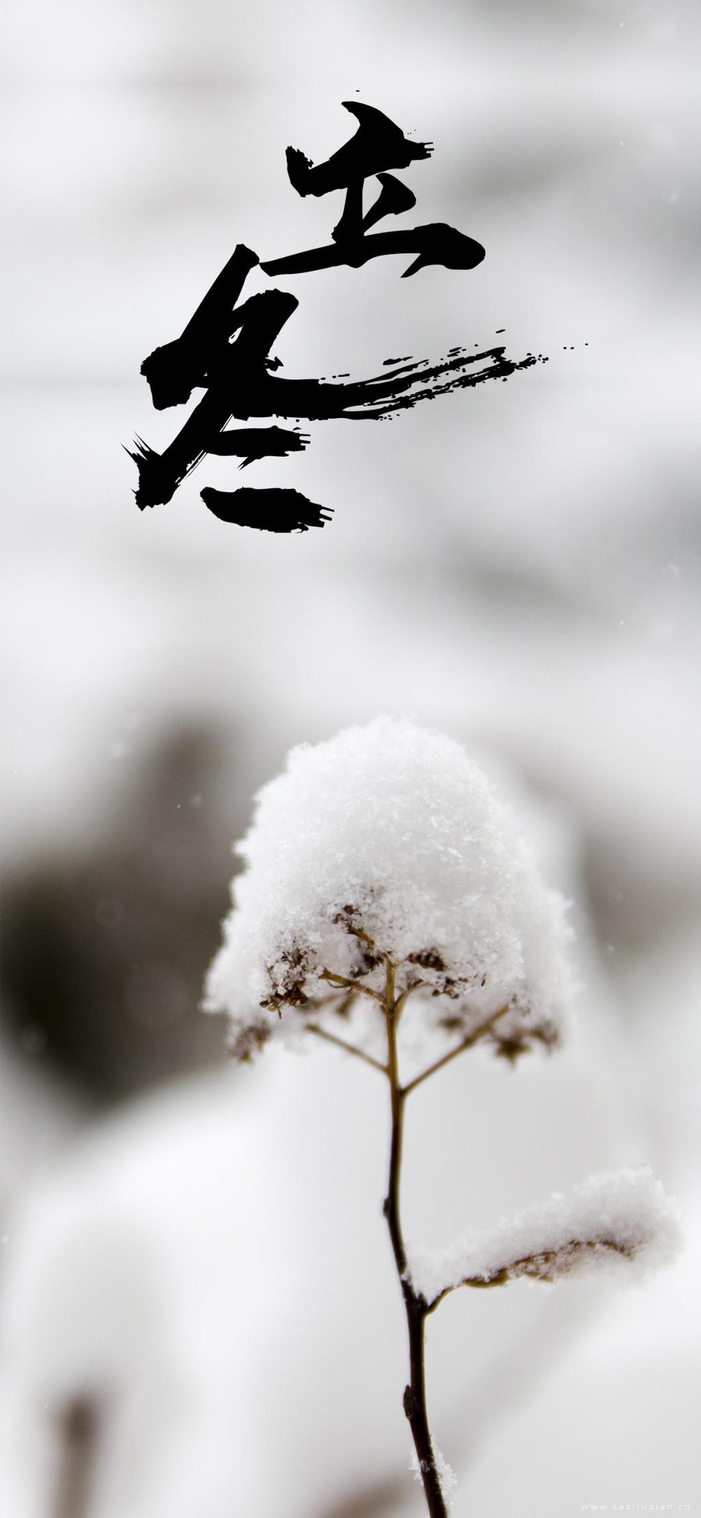 2024立冬时节冰雪高清壁纸图片