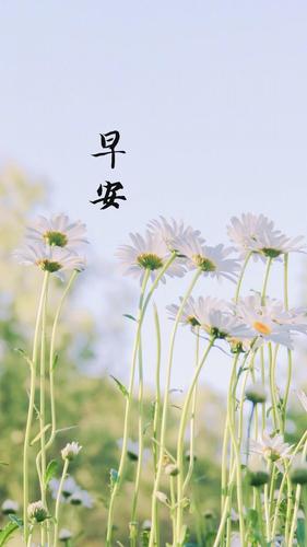 七月早安图片唯美 7月你好早安图片大全