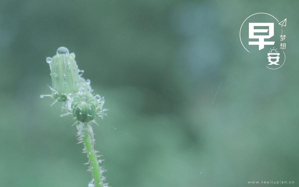 早安梦想春雨后的世界壁纸图片